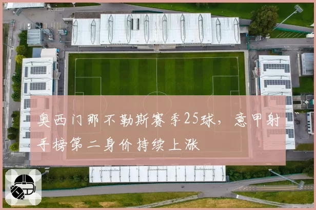 奥西门那不勒斯赛季25球,意甲射手榜第二身价持续上涨