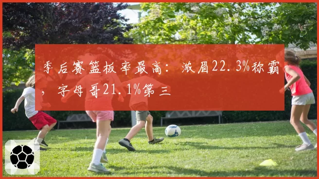 季后赛篮板率最高:浓眉22.3%称霸,字母哥21.1%第三