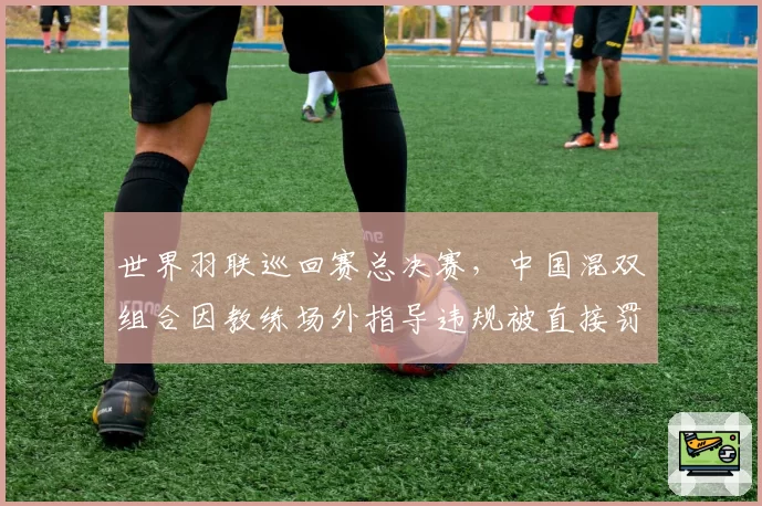 世界羽联巡回赛总决赛,中国混双组合因教练场外指导违规被直接罚分